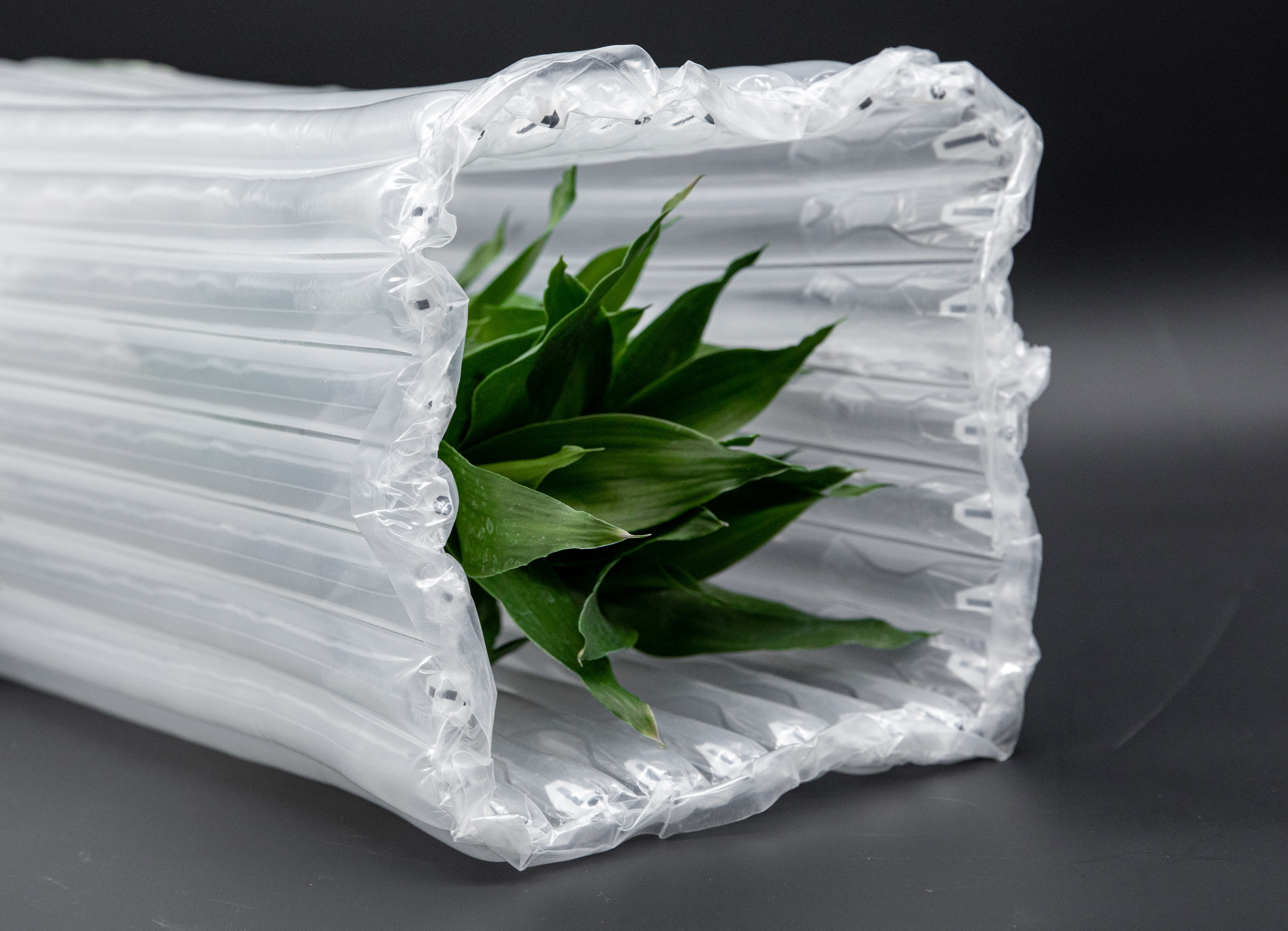 輸送用の透明なリサイクル可能なエアカラムバッグ